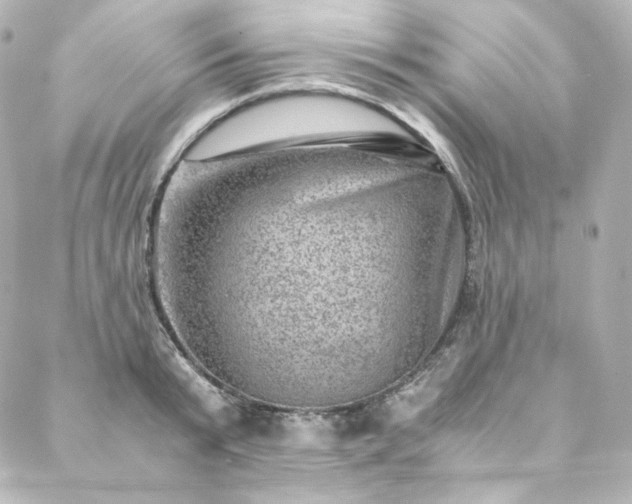 X0000088440799200705291606