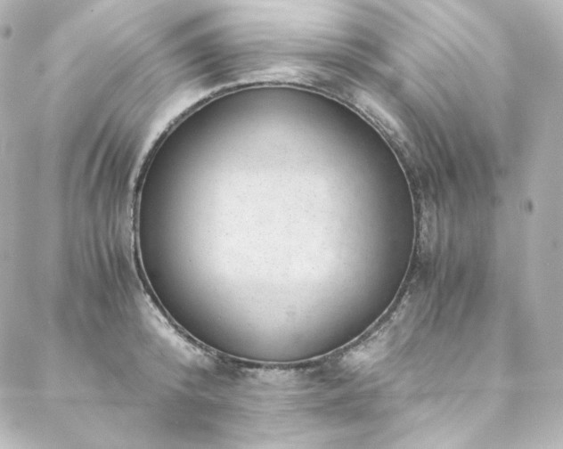 X0000088440800200705291606