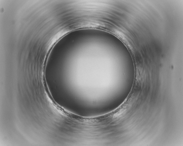 X0000088440802200705291606