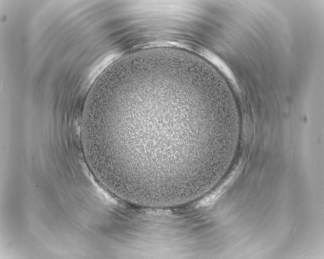 X0000088440809200705291606