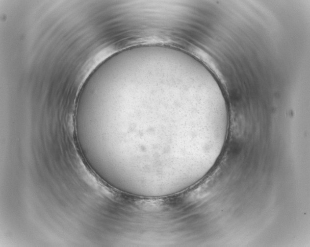 X0000088440810200705291606