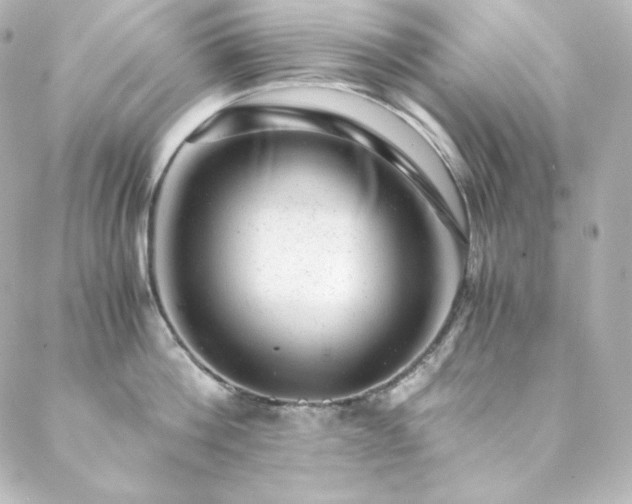 X0000088440812200705291606