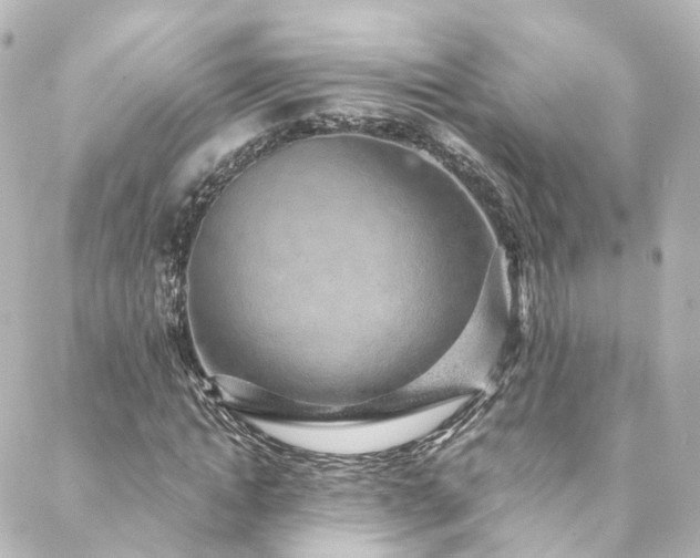 X0000088440822200705291605