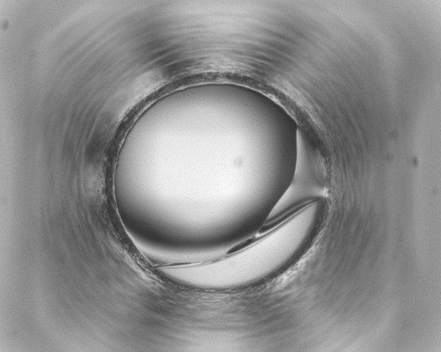 X0000088440826200705291605