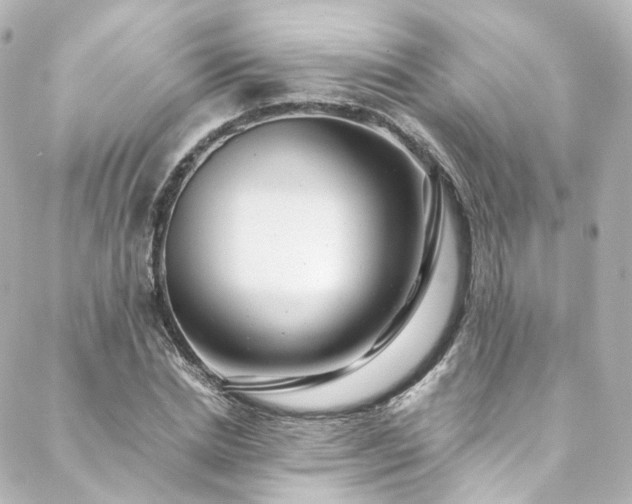 X0000088440830200705291605