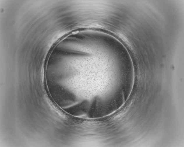 X0000088440840200705291606