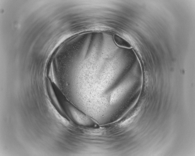 X0000088440843200705291606