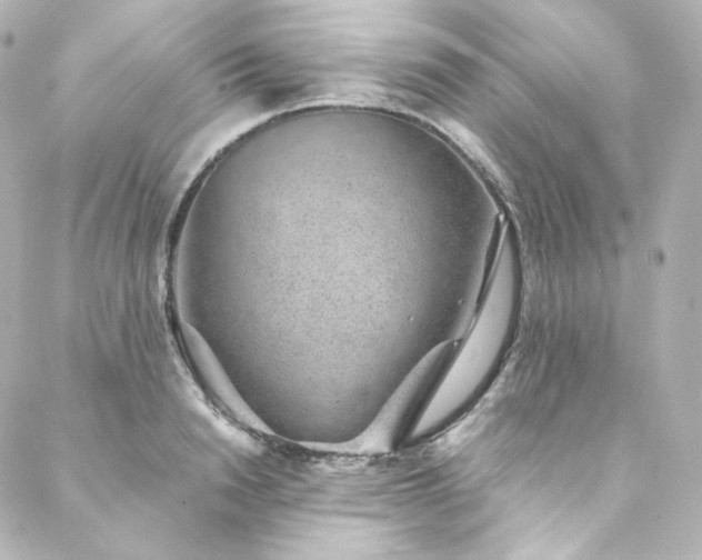 X0000088440846200705291606
