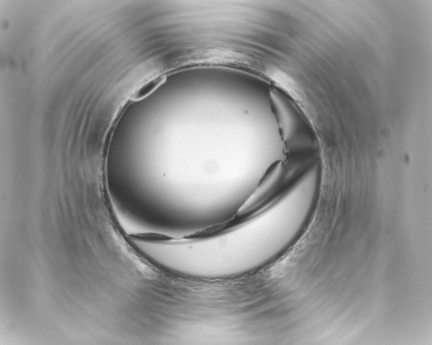 X0000088440850200705291606