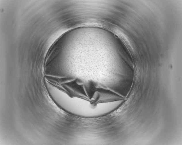 X0000088440852200705291606