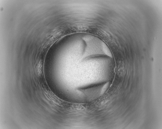 X0000088440866200705291605
