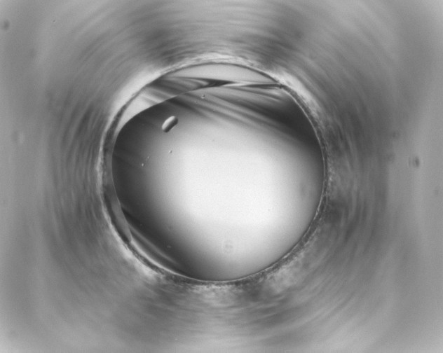 X0000088440902200705291605
