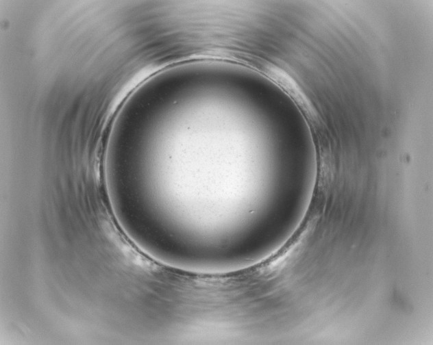 X0000088440908200705291604
