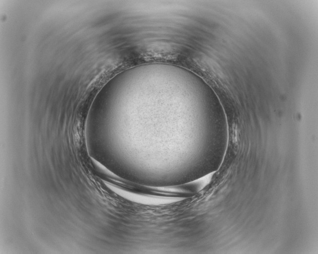 X0000088440915200705291604