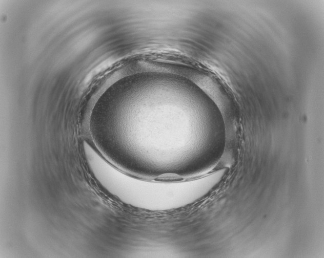 X0000088440920200705291604