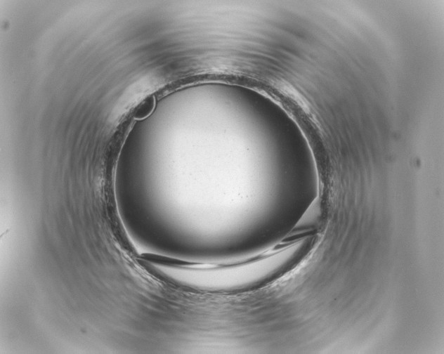 X0000088440922200705291604