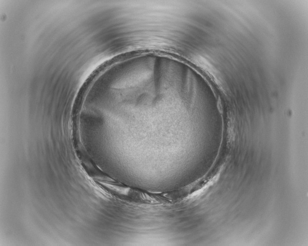 X0000088440924200705291604