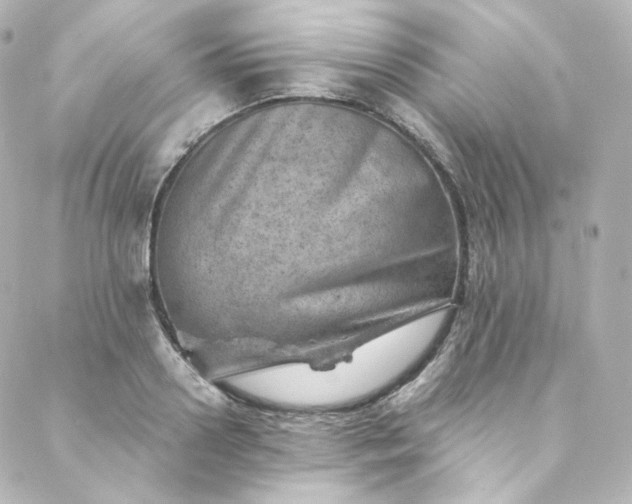 X0000088440938200705291604