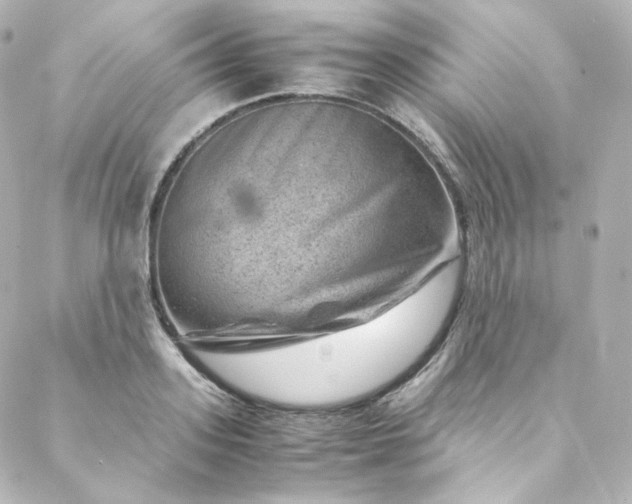 X0000088440939200705291604