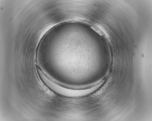 X0000088440948200705291604