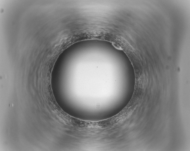 X0000088440961200705291604