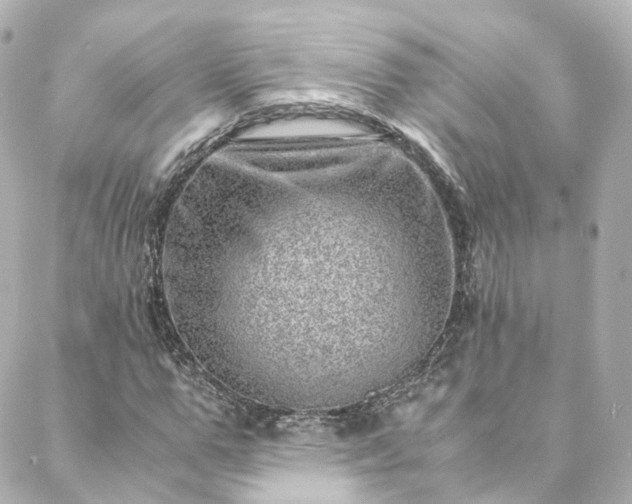 X0000088440967200705291603