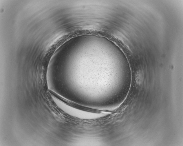 X0000088440968200705291603