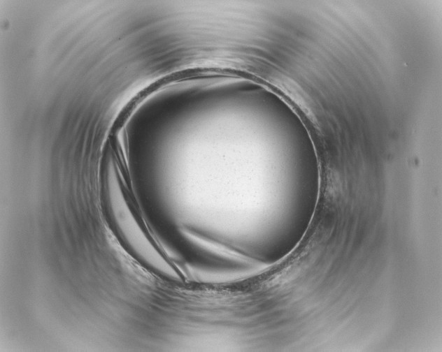 X0000088440980200705291603