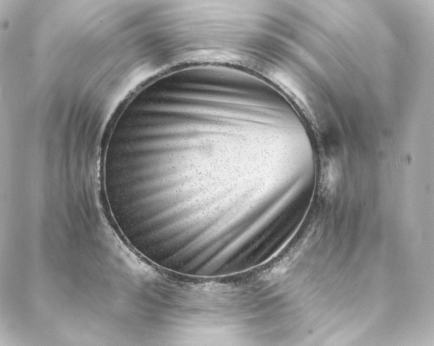 X0000088440992200705291603