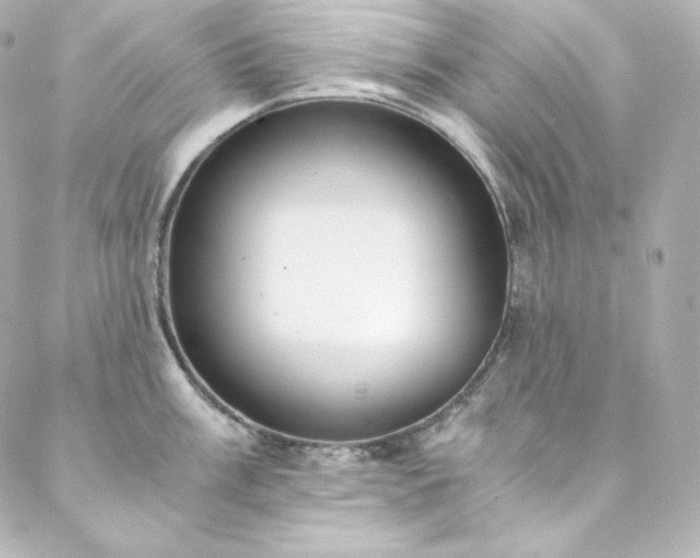 X0000088441003200705291603
