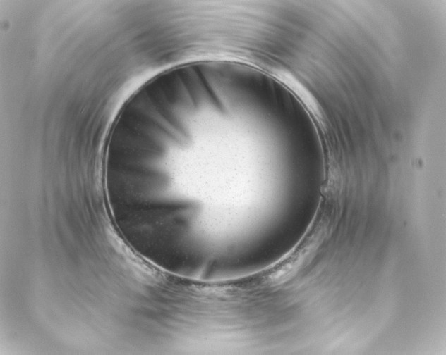X0000088441004200705291603