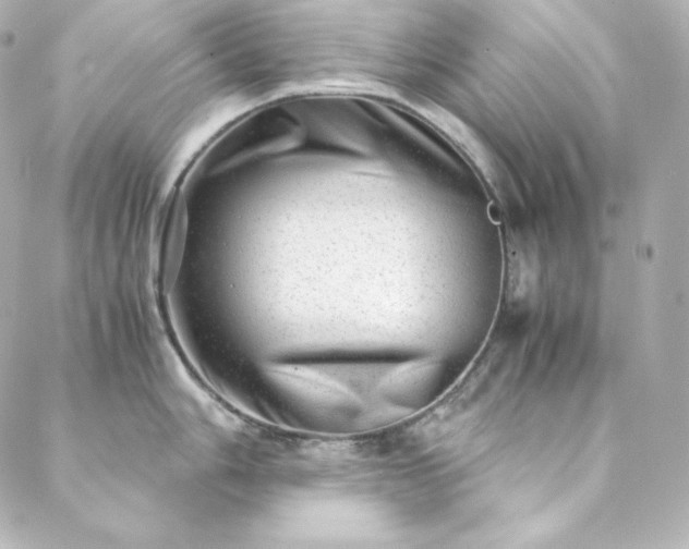 X0000088441006200705291603