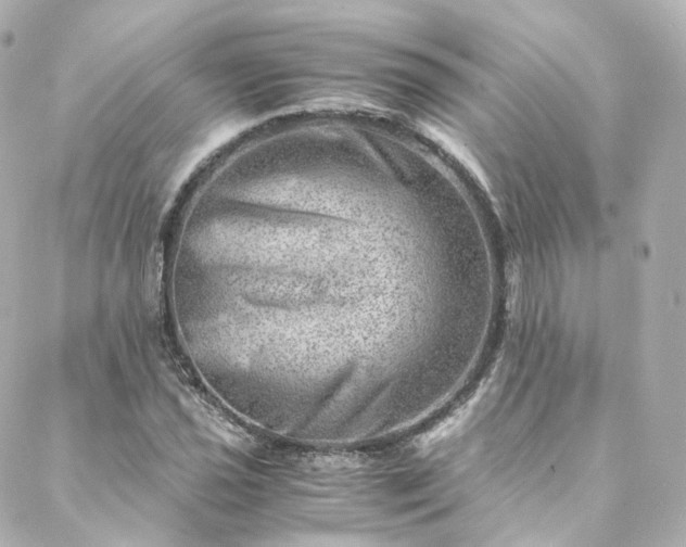 X0000088441021200705291602