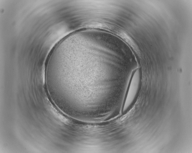X0000088441036200705291602