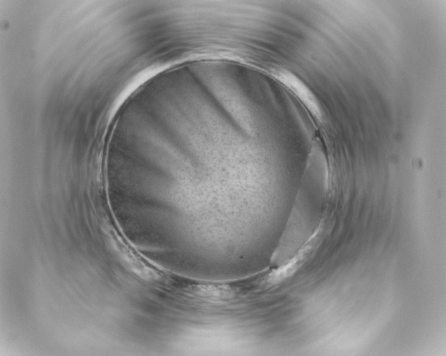 X0000088441052200705291603