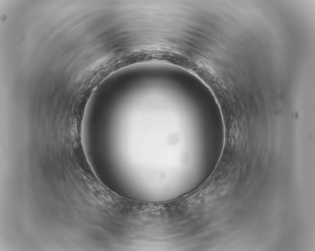 X0000088441062200705291602