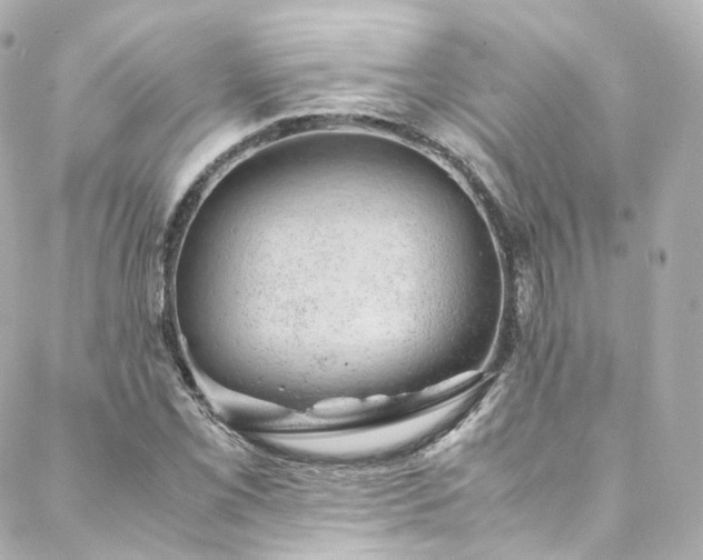 X0000088441069200705291602