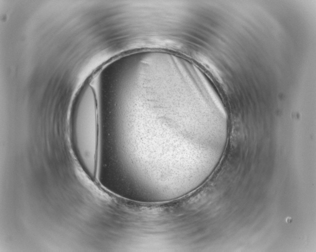 X0000088441080200705291602