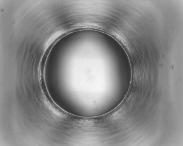 X0000088441082200705291602