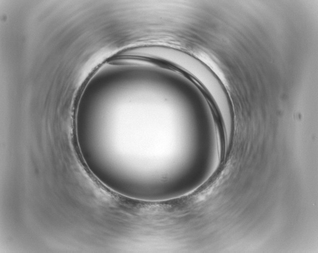 X0000088441093200705291601