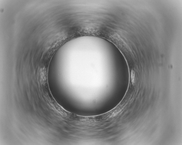 X0000088441107200705291601