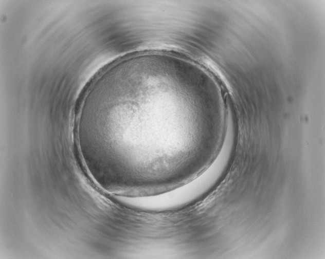 X0000088441124200705291601