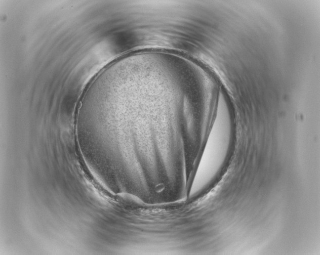 X0000088441129200705291601