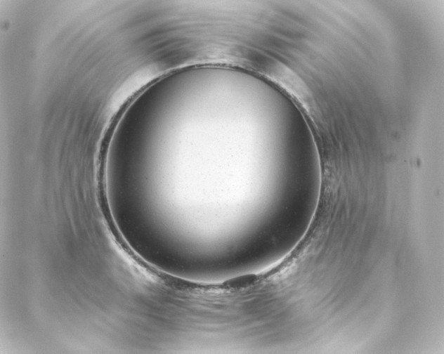 X0000088441135200705291601