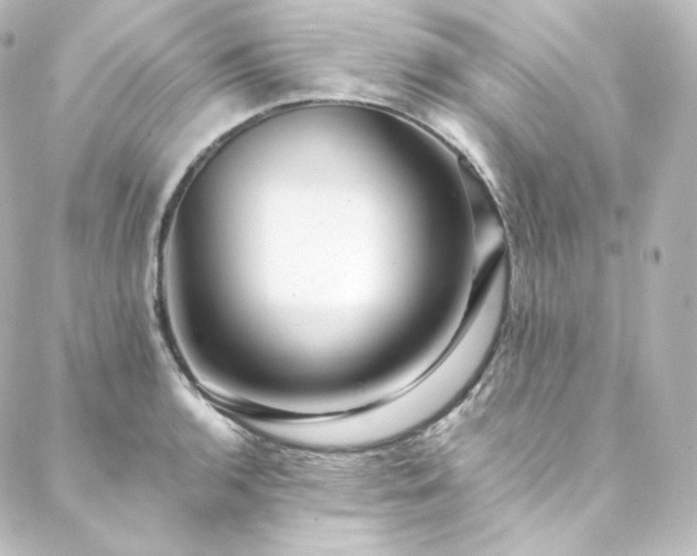 X0000088441136200705291601