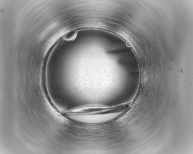 X0000088441139200705291601