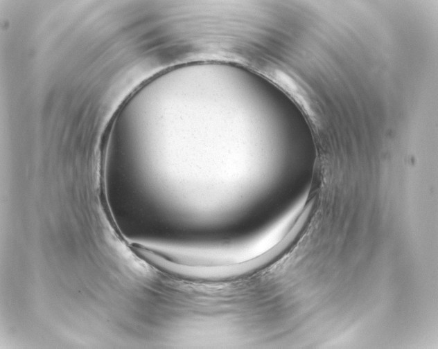 X0000088441140200705291601