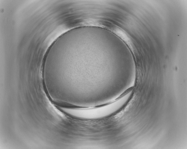 X0000088441141200705291601