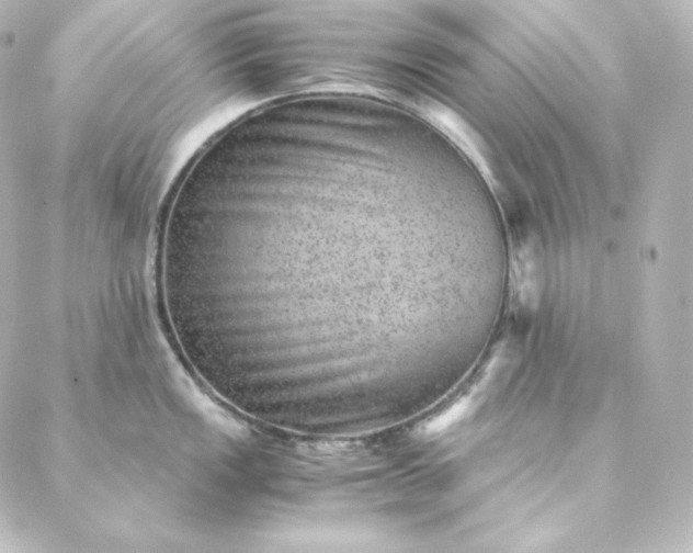 X0000088441149200705291601