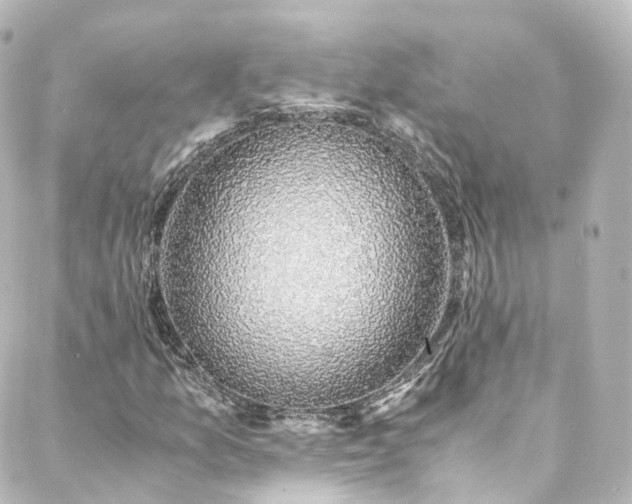 X0000088441157200705291600